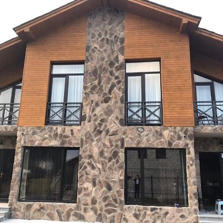 Bakuriani Cozy Villa #4 المظهر الخارجي الصورة