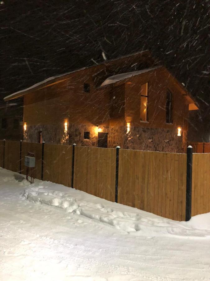 Bakuriani Cozy Villa #4 المظهر الخارجي الصورة